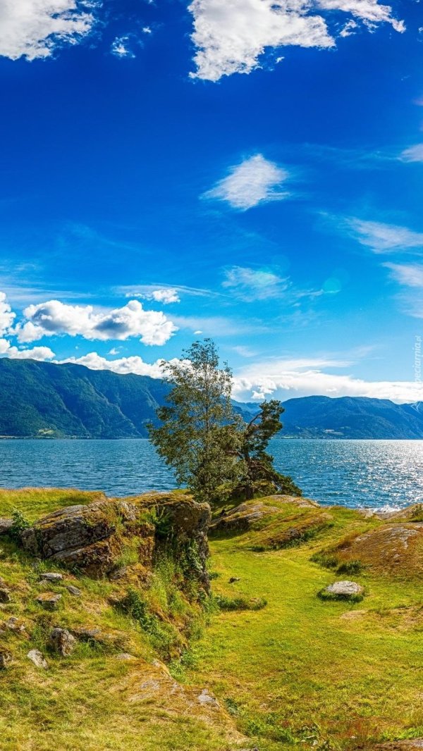 яйлю телецкое озеро