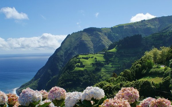 азорские острова