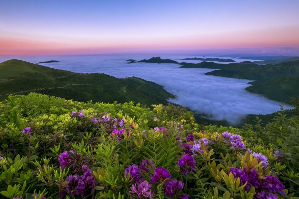 остров шикотан курильские острова