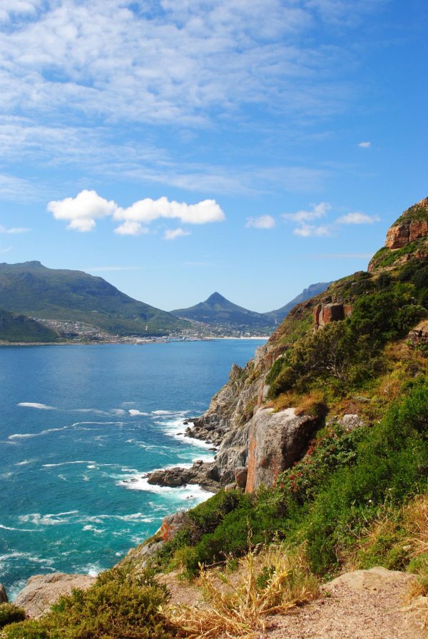 chapman s peak