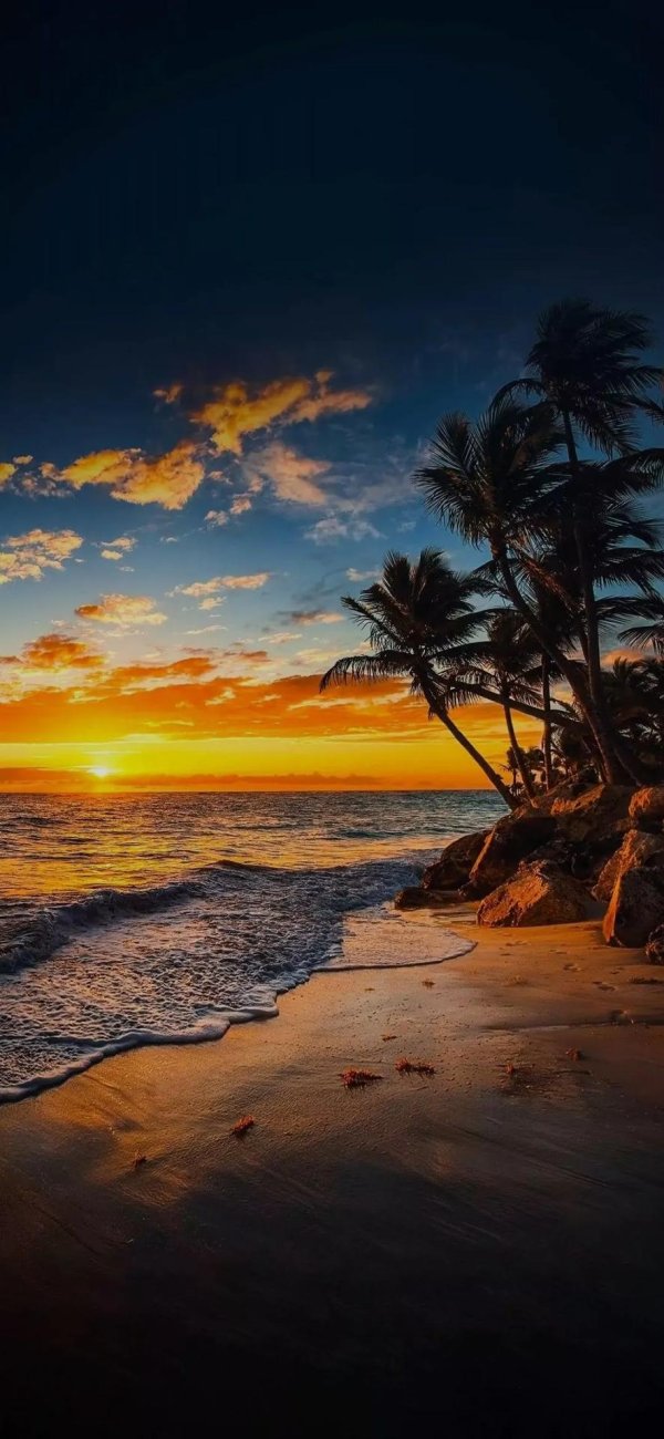 пляж пейзаж