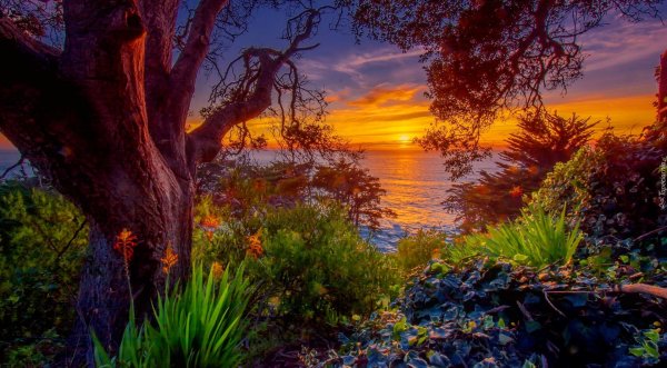 красивейшие пейзажи