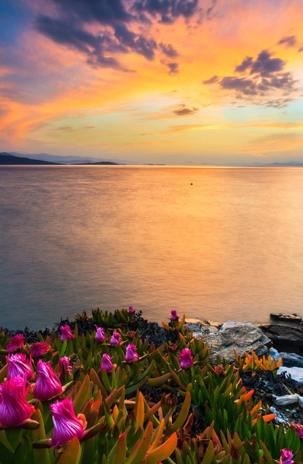 пейзажи с морем