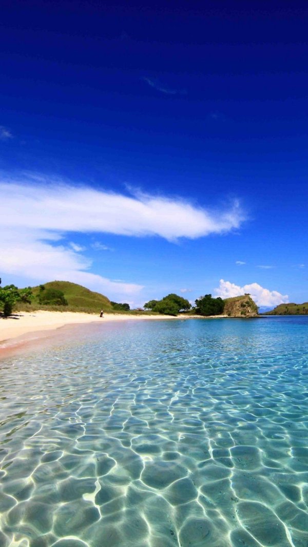 остров комодо индонезия