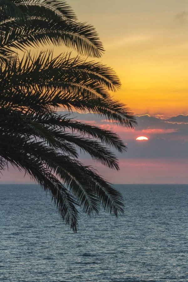 абхазия гагра пейзажи