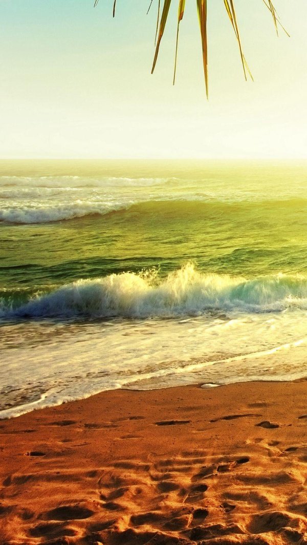 фон с морем