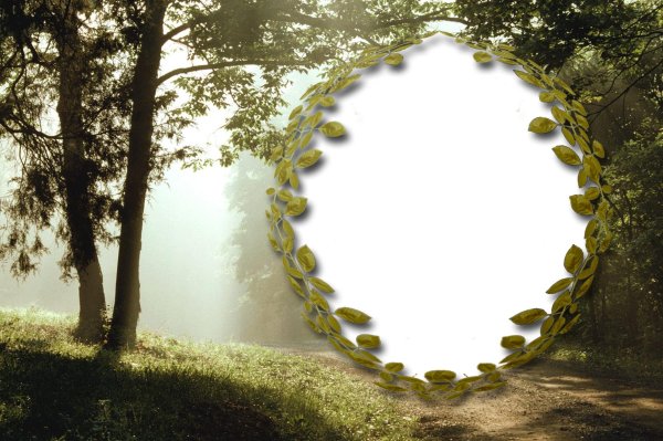 красивые рамки с природой