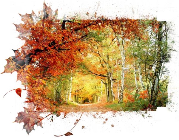 осень для фотошопа