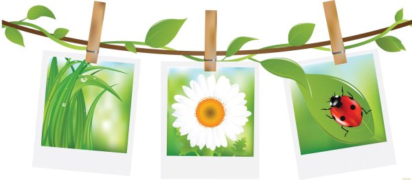 летние открытки