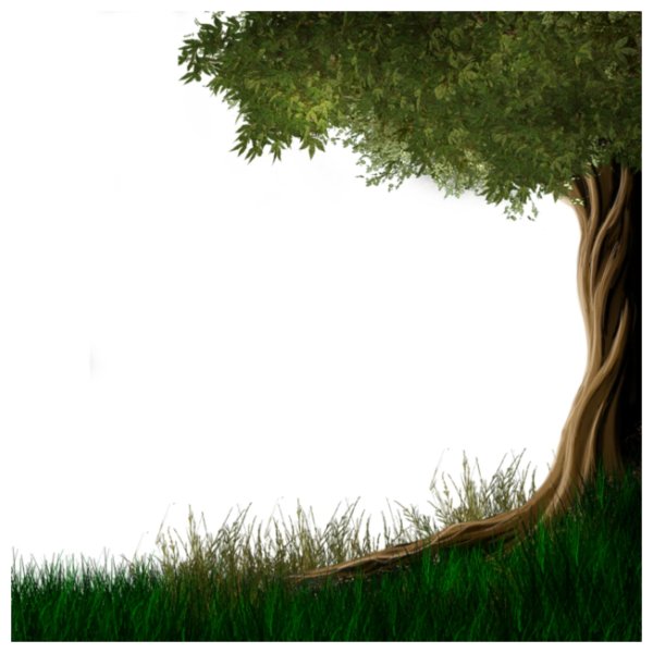 фон с деревом