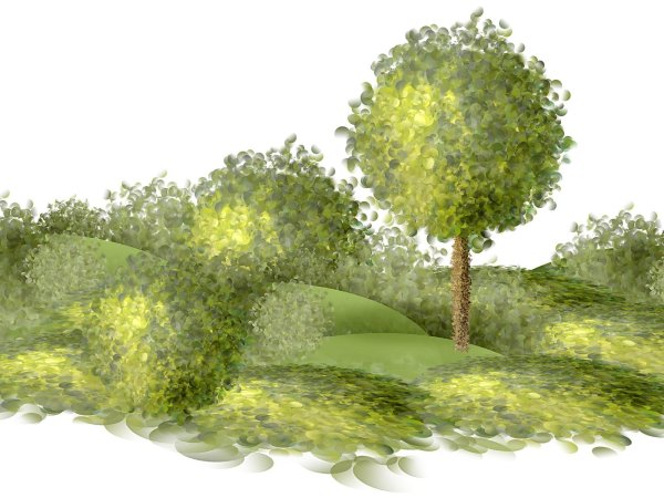 куст без фона