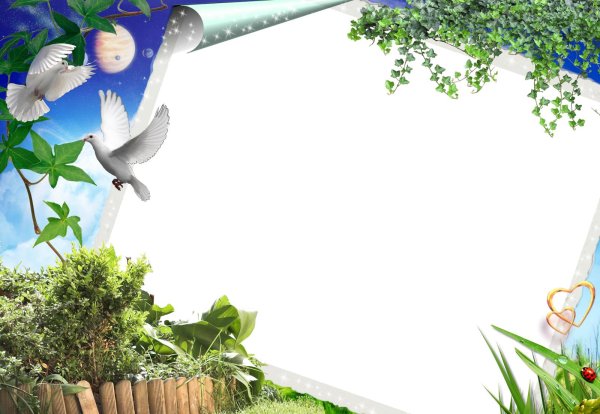 фоторамки природа