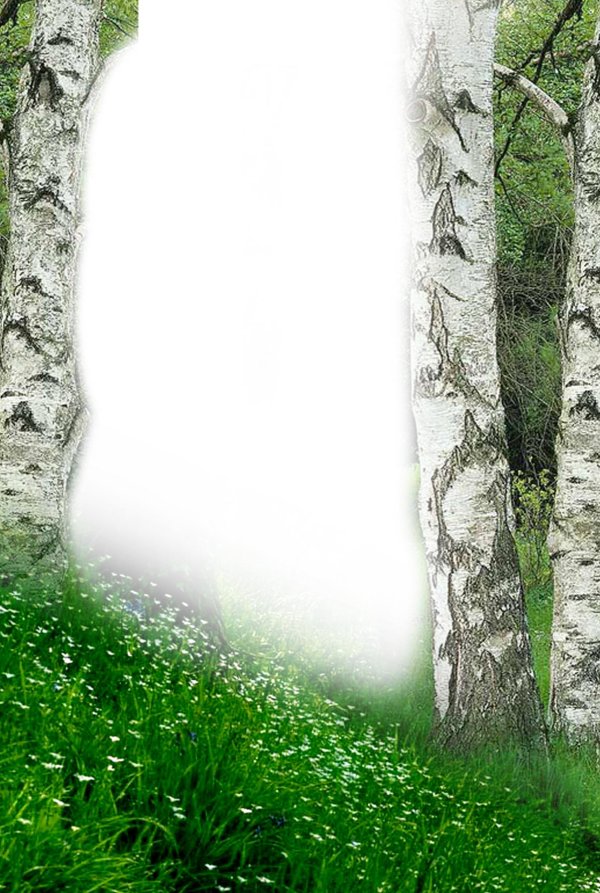 красивые рамки с природой