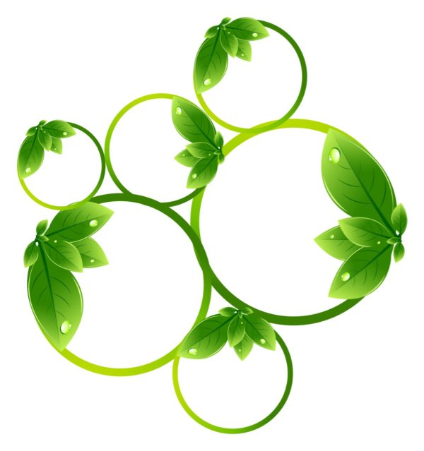 лист зеленый