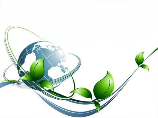 экологический фон