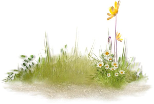 травинки на прозрачном фоне