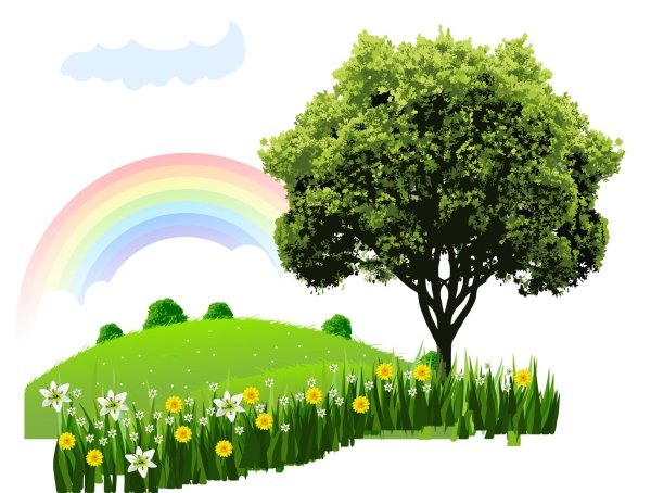 дерево с прозрачным фоном