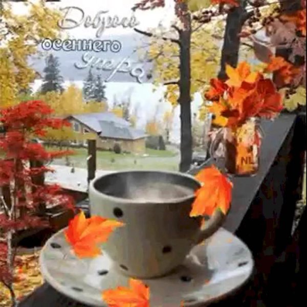 утро осеннее доброе