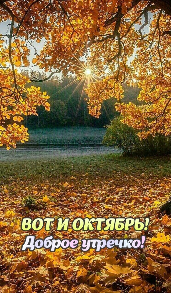 доброе утро октября природа