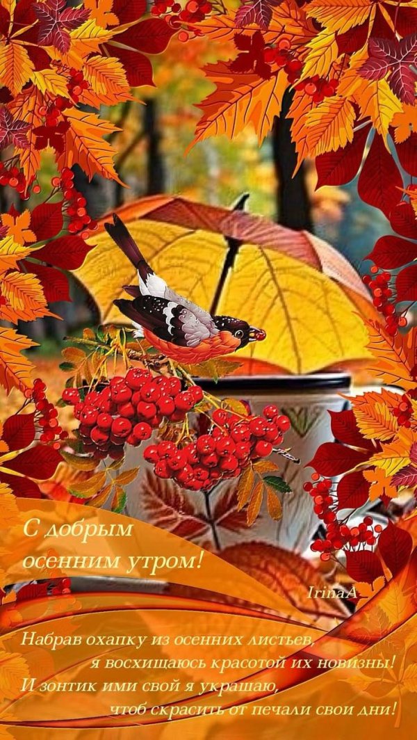 осеннего утра