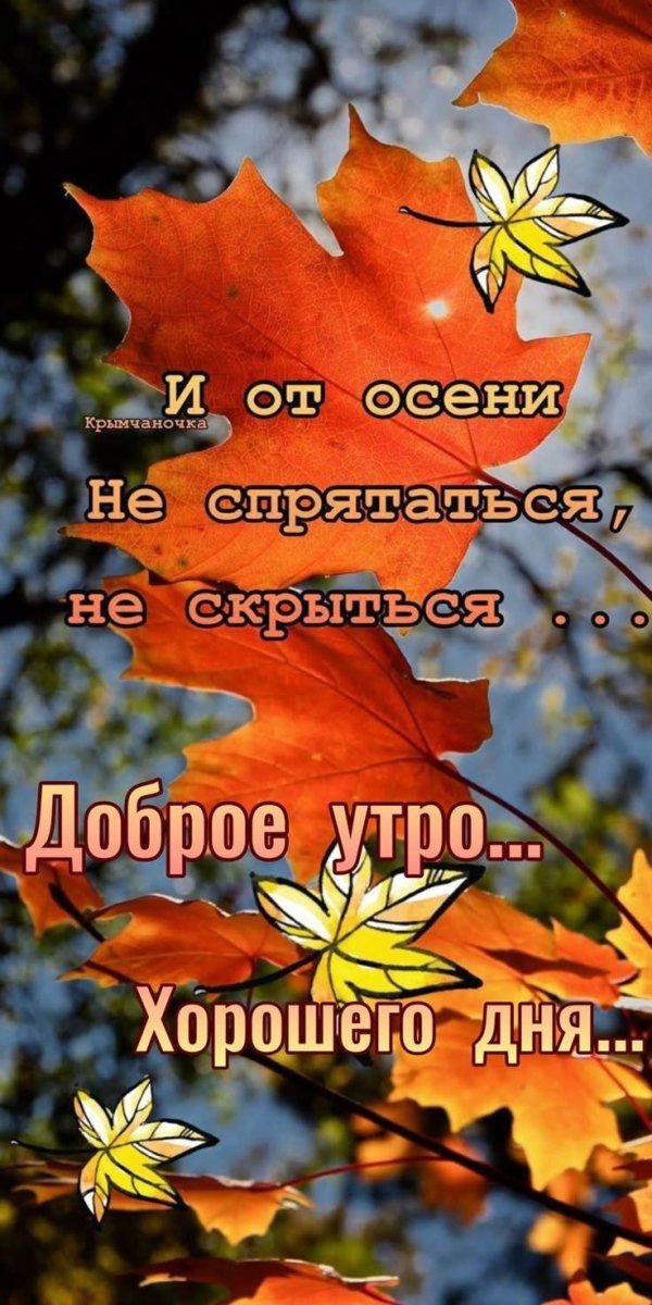 доброго утра осени
