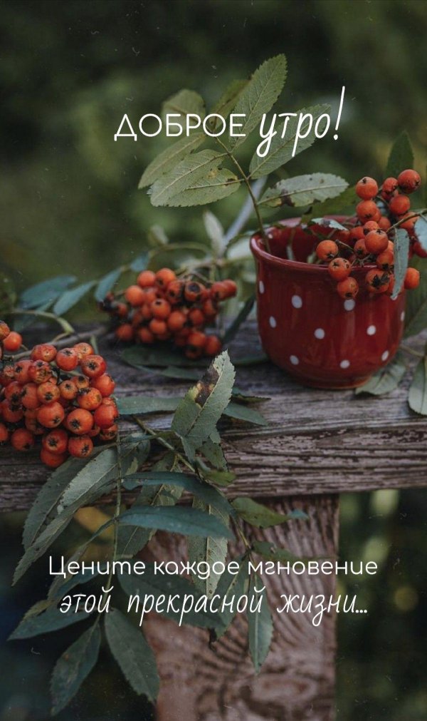 утро осени доброе