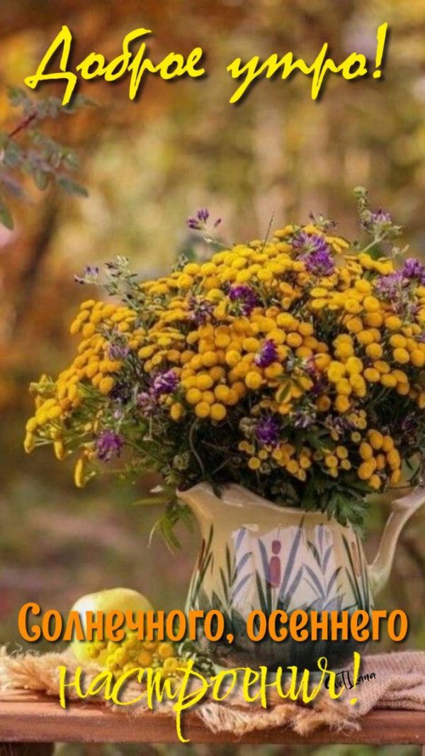 доброе утро осенью