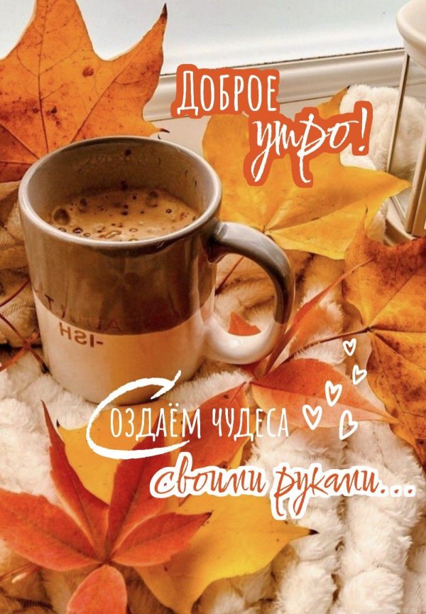 доброе утро осень красивая