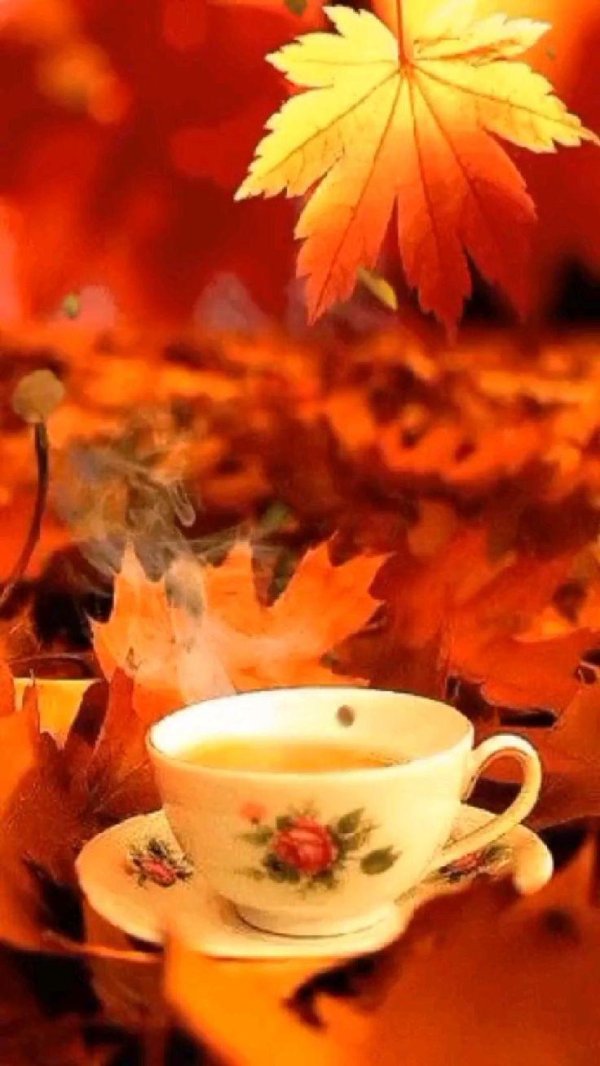 осеннее чаепитие