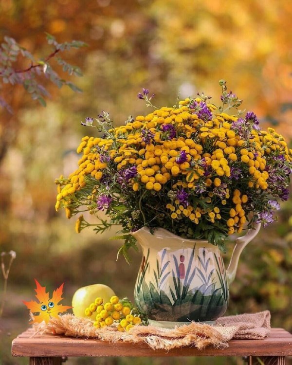 доброе утро осенью