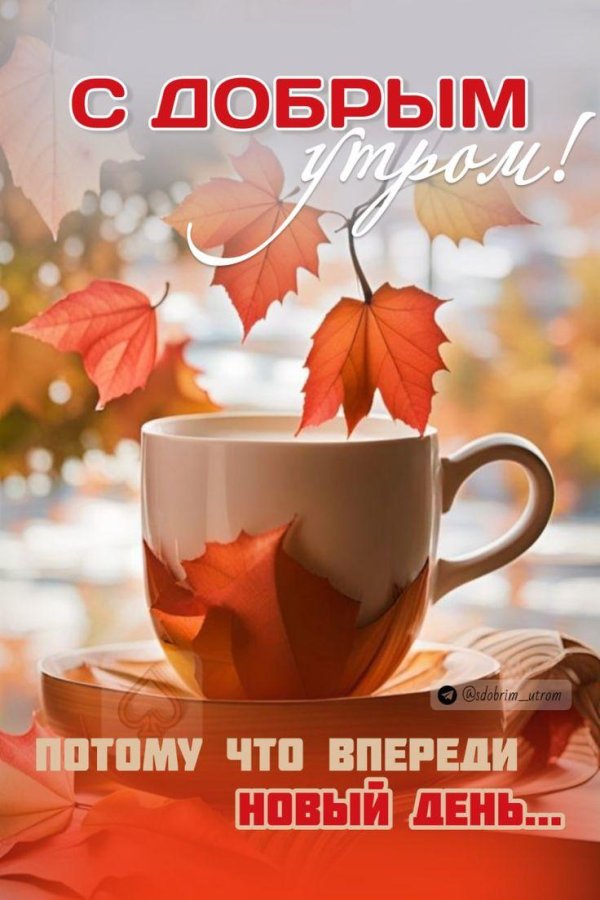 осеннего утра