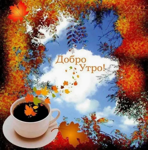 добрейшего осеннего утра