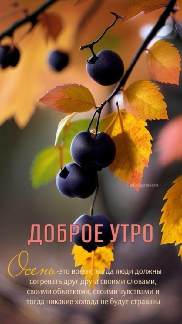 осень доброе утро