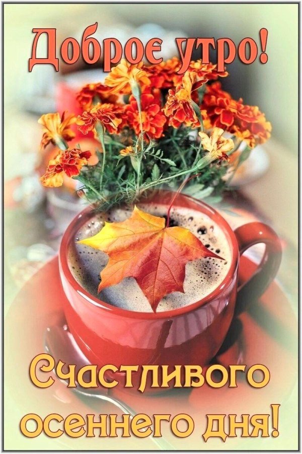 доброго утра осени