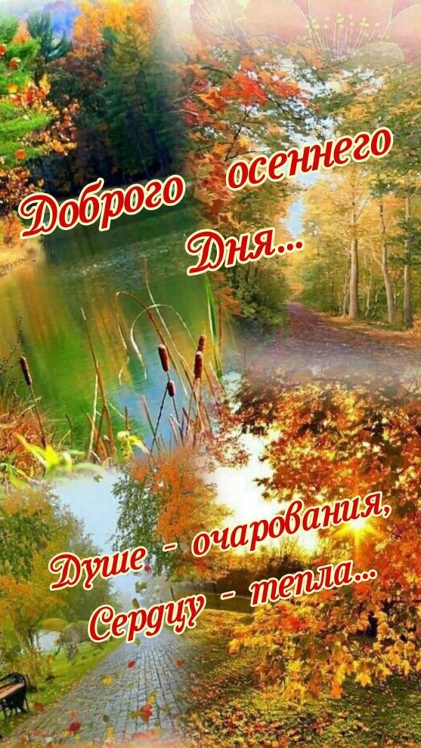 доброго осеннего дня