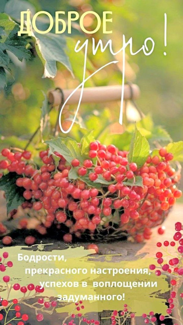 утра доброго