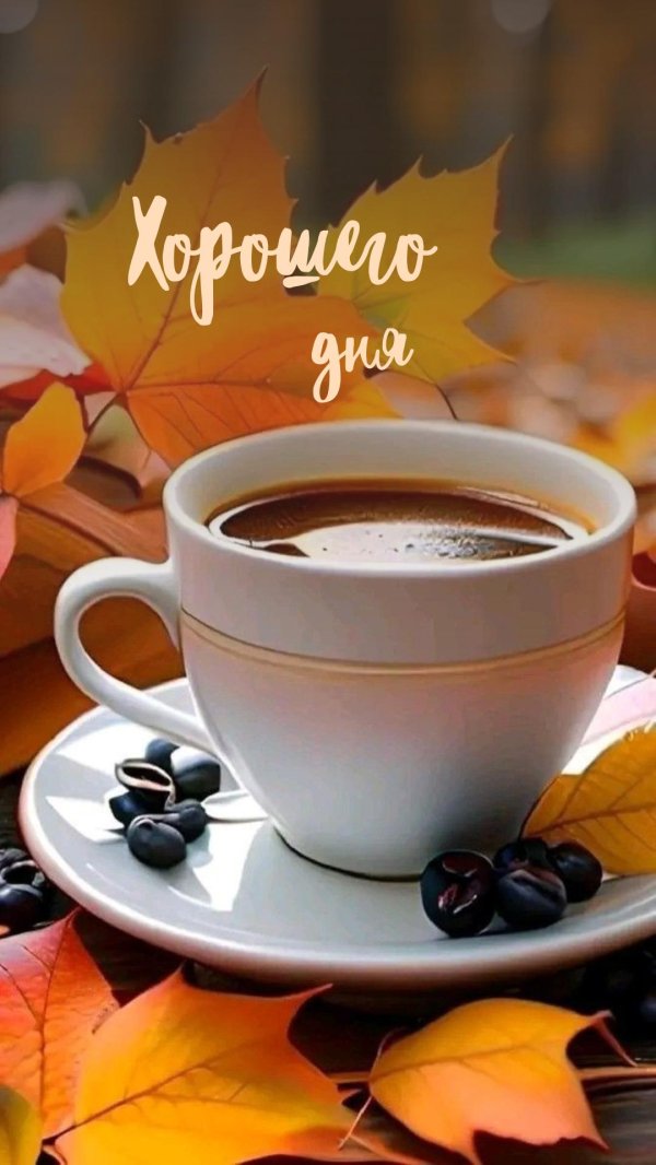 осеннего утра