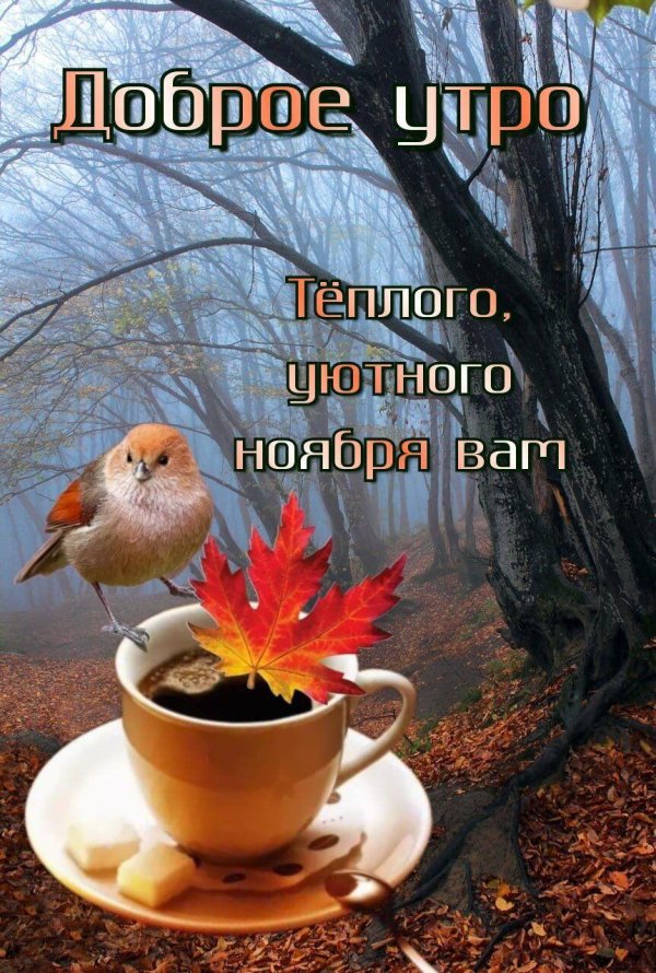 доброго утра ноябрь