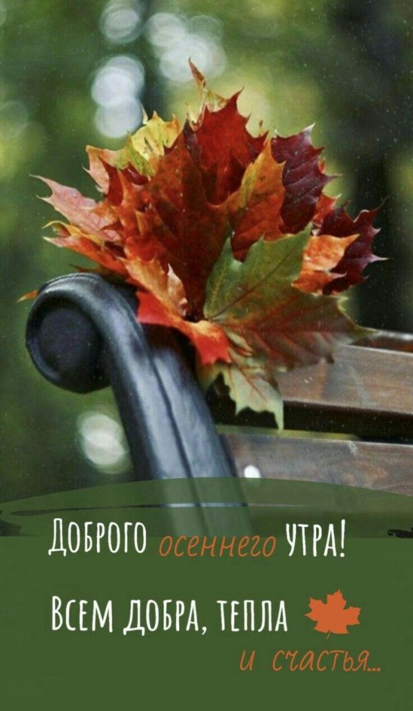доброе утро осень красивая