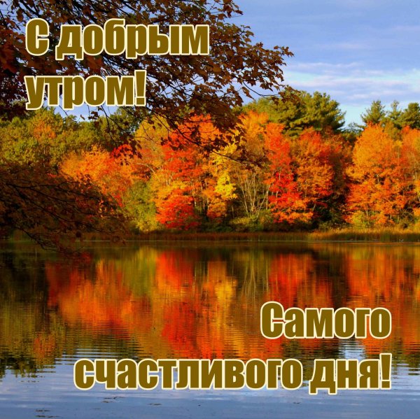 красивая осень