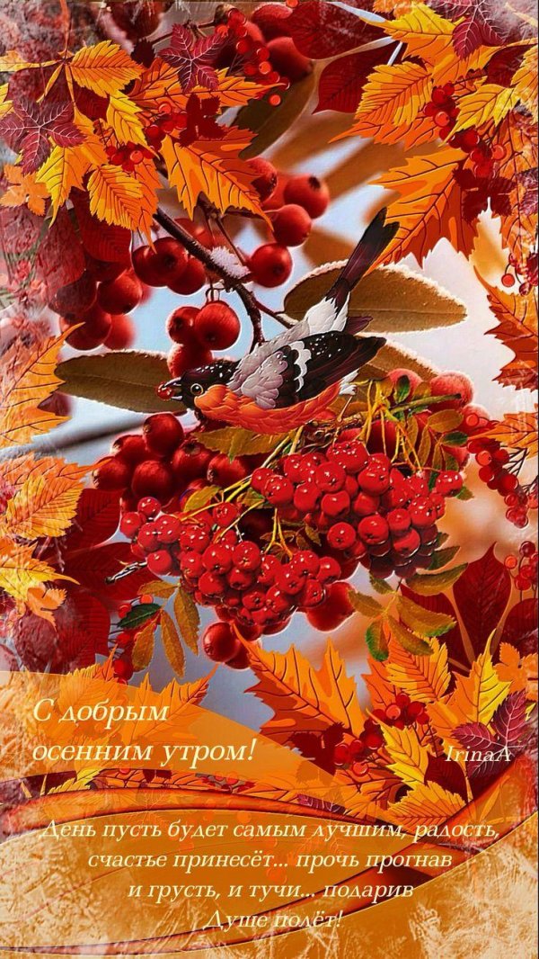 осень доброе утро