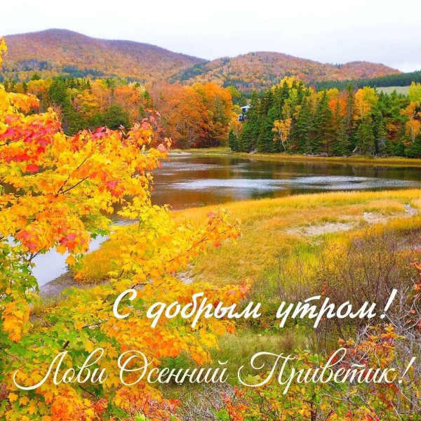 доброго утра осени