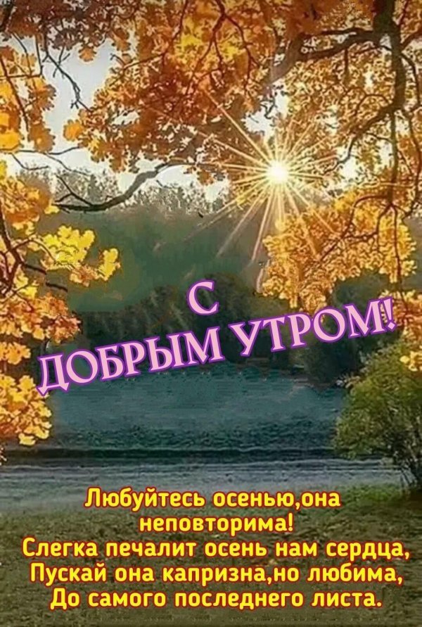 открытки доброе утро осенние пейзажи