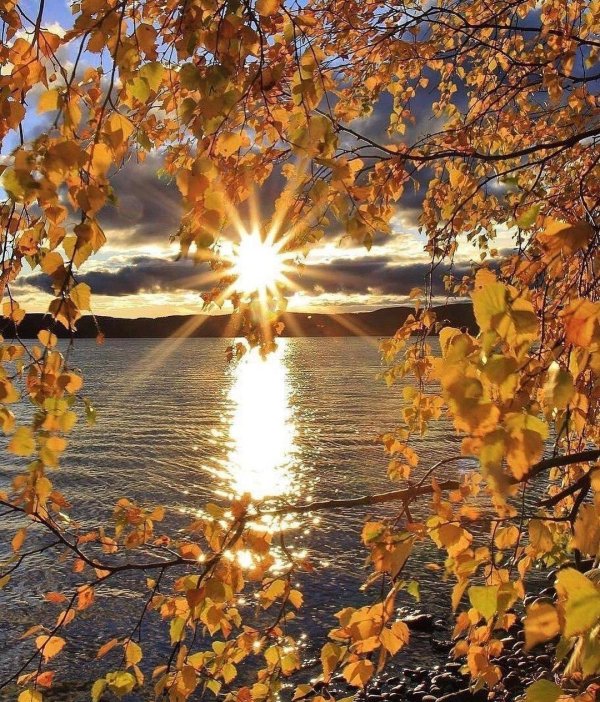 доброе утро осеннее природа