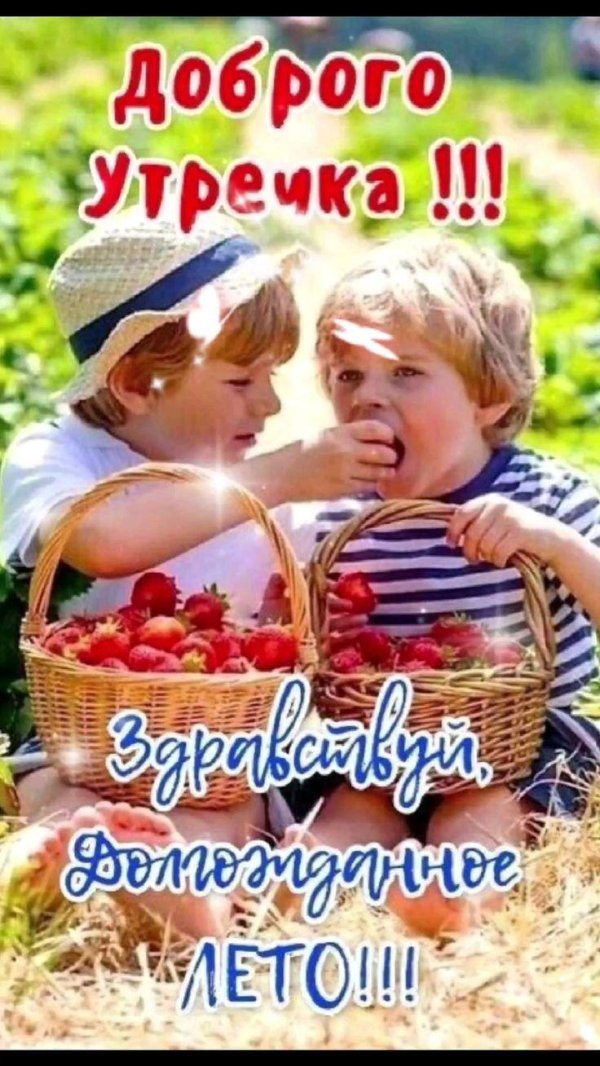 летнее утро доброе