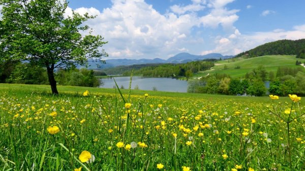 альпийские луга башкортостан