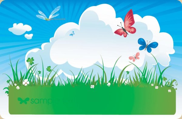 бабочки на поляне