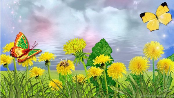 одуванчики рисунки