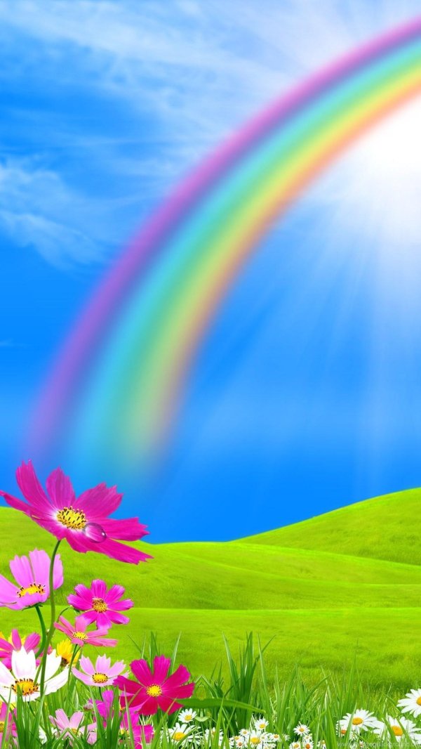 полянка с радугой