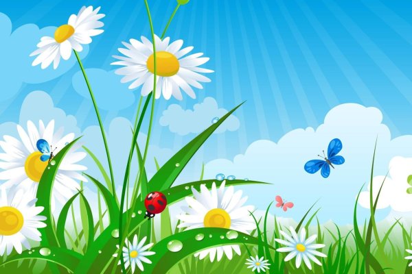 фон ромашек